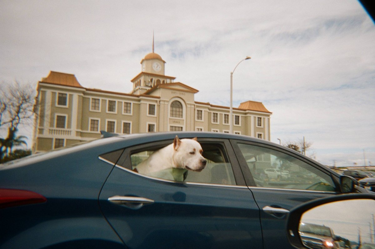 Harman Kodak Porta 800