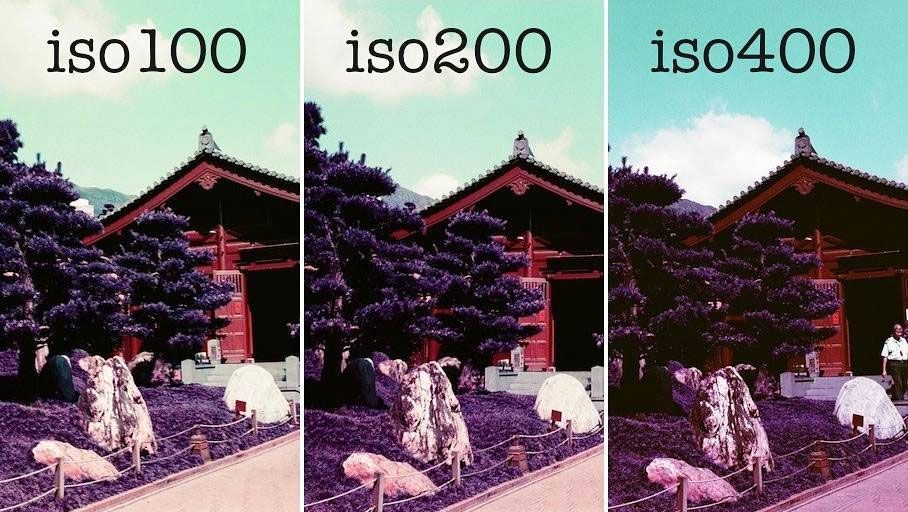 lomography lomochrome purple xr 100-400 фотоплівка 35 120 135 де купити Україна