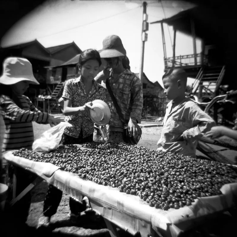 Holga 120мм купити в Україні iPolaroid 