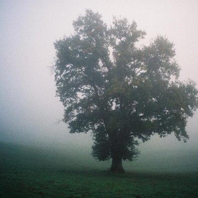 canon-prima-105-fujifilm-superia-xtra-400