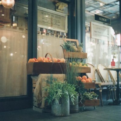 CineStill 800T 120 Yashica D TLR