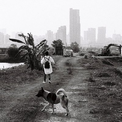 Cinestill BwXX Double-X Nikon F100