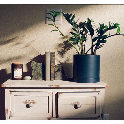 Flic Film Aurora 800 Сanon eos3 