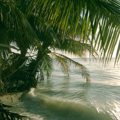 Hitchcock 5203 50D аналогова плівка 35мм