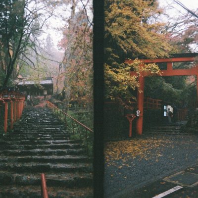 Kodak H35N Fujifilm Pro 400H