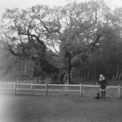 Harman зйомка на плівку подвійна експозиція