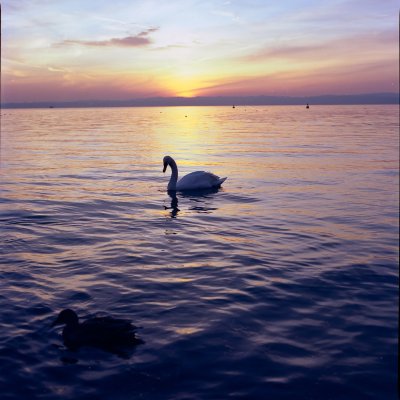 Hasselblad CF Planar f-2.8 80 mm