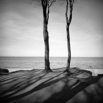 ilford delta 100 120 - Lomo LC-A 120