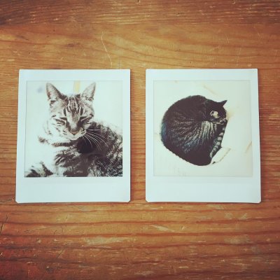 касети instax купити