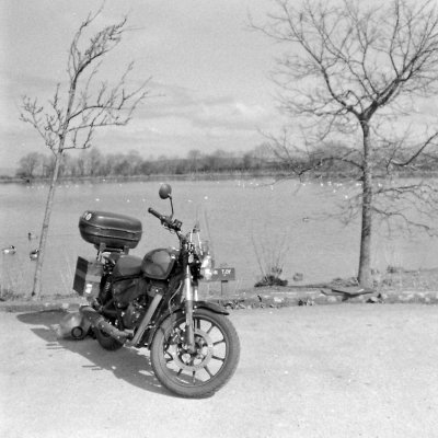 Kentmere Pan 400 120 iso 400 