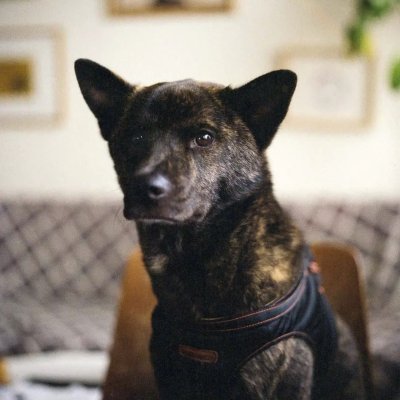 kodak gold 200 120 rolleiflex sl66