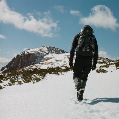 Кодак Портра 400 120 Hasselblad 503 CX