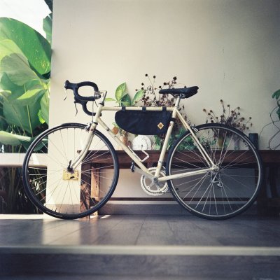 Kodak Portra 800 120 Yashica 635