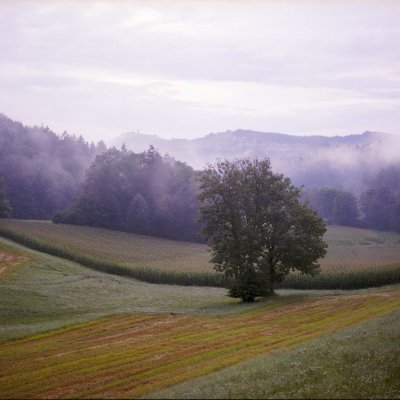 Kodak Portra 160 120 Mamiya 645 Pro