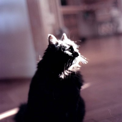 Konica Autoreflex T3