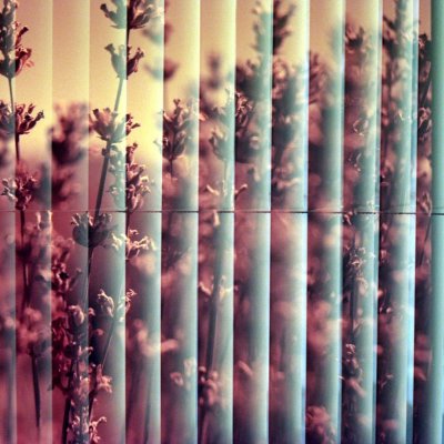 kono delight art 400 Nikon FM2 