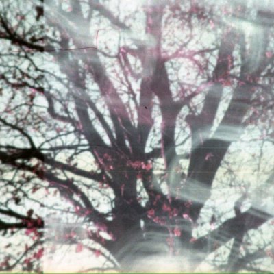 аналогова фотографія