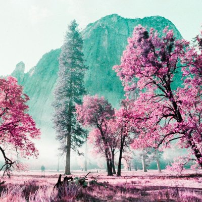 Lomography LomoChrome Purple XR ISO 100-400 Petillant Edition фотоплівка