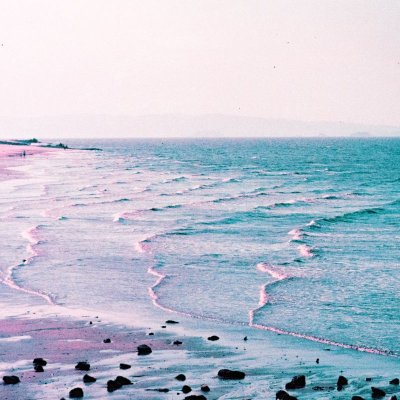 Lomography LomoChrome Purple XR ISO 100-400 Petillant Edition 