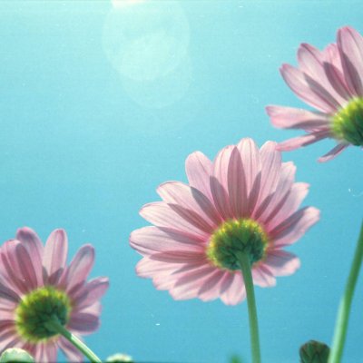 Lomography 100 120 Lomography Belair X 6-12 City Slicker