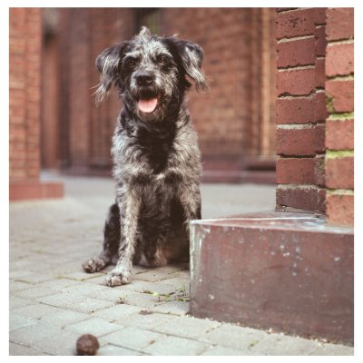 Ломо плівка Yashica MAT 124G