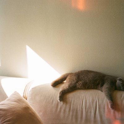 Fuji Superia 200 плівкова камера Olympus камера