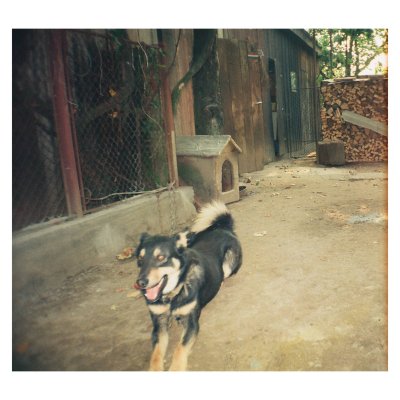 Premier M-911D DX Kodak color plus 200