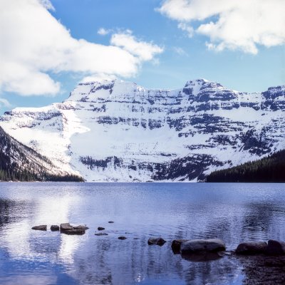 Alberta - Fujifilm Provia 100F [120] & Hasselblad 500CM