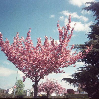 Kodak Ultra 400 expired