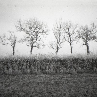Lomography Lady Grey B&W 400 
