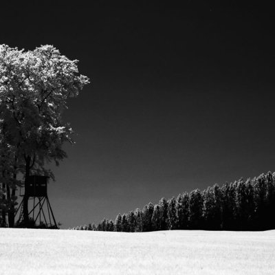 rollei infrared 400 - mamiya rb67