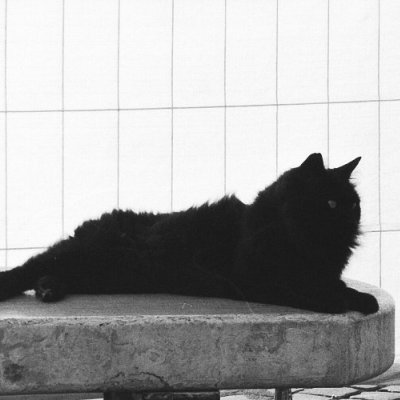 Samsung Slim Zoom 115S Kentmere Pan 400