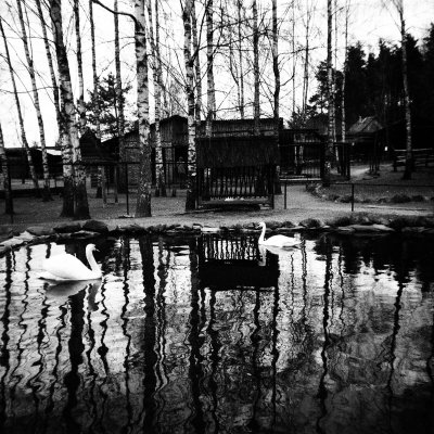 Agfa Aviphot PAN 200