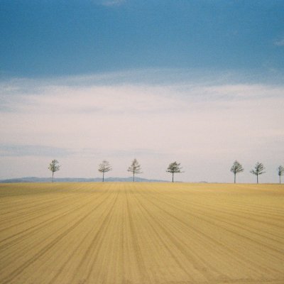 Lomography Color Negative 400
