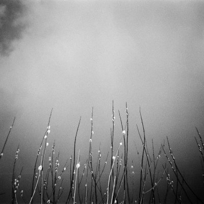 Agfa Aviphot PAN 200