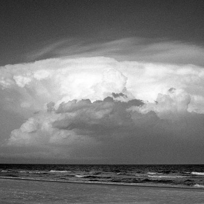 Wolfen NP100 Nikon F3HP