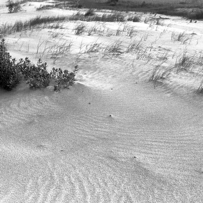 Wolfen NP100 Nikon F3HP