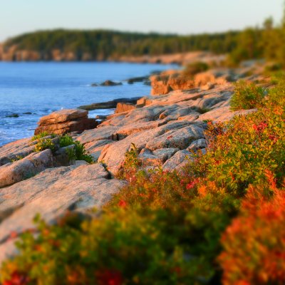 6000x4000 1/15 sec f8.0 0.0 EV 40.0 mm focal length ISO 566