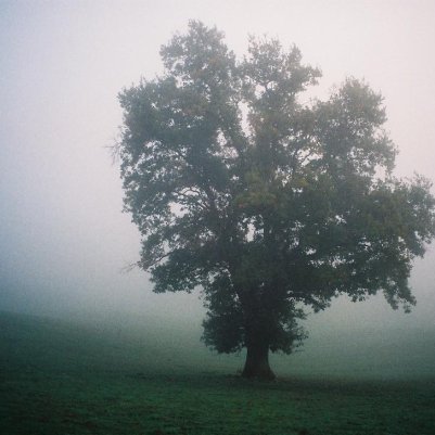 canon-prima-105-fujifilm-superia-xtra-400