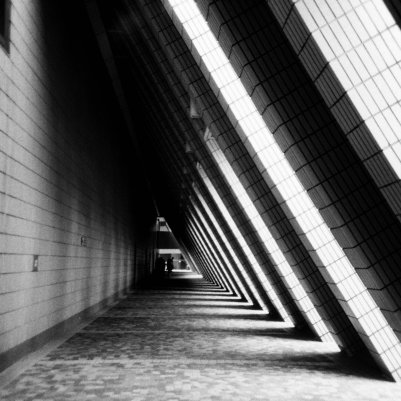 Lomography Earl Grey B&W ISO 100 Lomo LC-A+