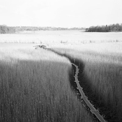 Ilford Delta 100 Professional 35 Olympus Mju II Zoom 80