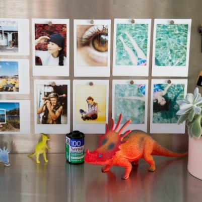 Веселые фото стены