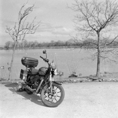 Kentmere Pan 400 120 iso 400 