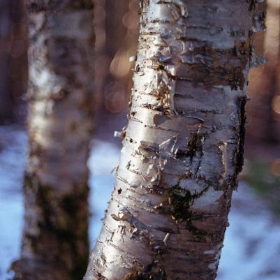 kodak 200 плівка купити Україна 