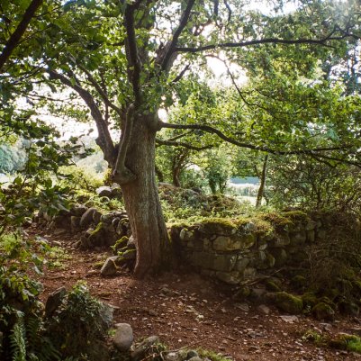 Kodak Pro Image фотоплівка 35мм купити Україна 