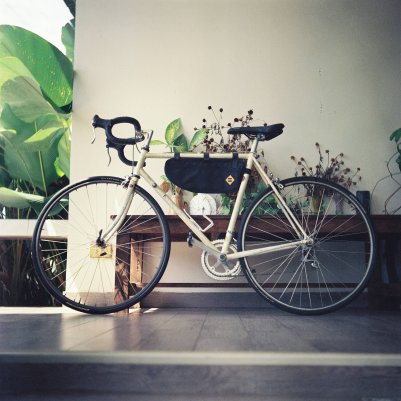 Kodak Portra 800 120 Yashica 635