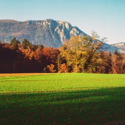 Kodak Portra 800 120 Zeiss Ikon Super Ikonta 531