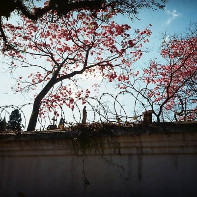 kodak-easy-load-35-kodak-color-200