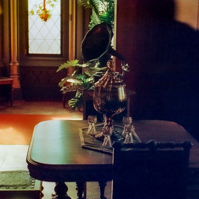 KONO Delight Art 400 кольорова 35мм плівка