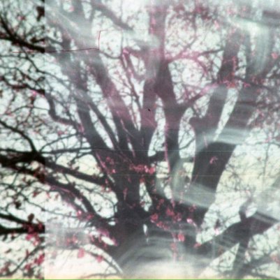 аналогова фотографія